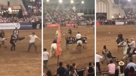 Veganos irrumpieron en la muestra “Nuestros Caballos” en La Rural: tensión y disturbios en el predio de Palermo