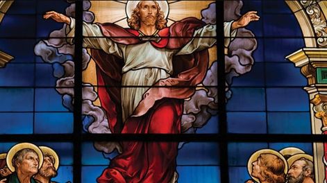 Jesús dijo a sus discípulos: “Yo soy la verdadera vid y mi Padre es el viñador. Al sarmiento que no da fruto en mí, él lo arranca, y al que da fruto lo poda para que dé más fruto.