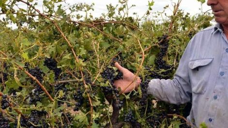 Los Andes | GU4DQODFGZQTQMZWMY4DGMTFHE.jpg?quality=75&smart=true&auth=829e297019c9397ab48ecccb5aa19aaedc3b39d33c81250b966a4866d23b10b1&width=980&height=640