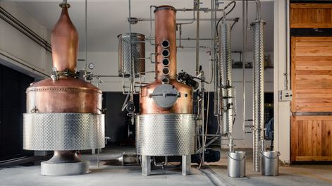 El gin y otros destilados se instalan como una de las bebidas favoritas en bares y hogares argentinos.