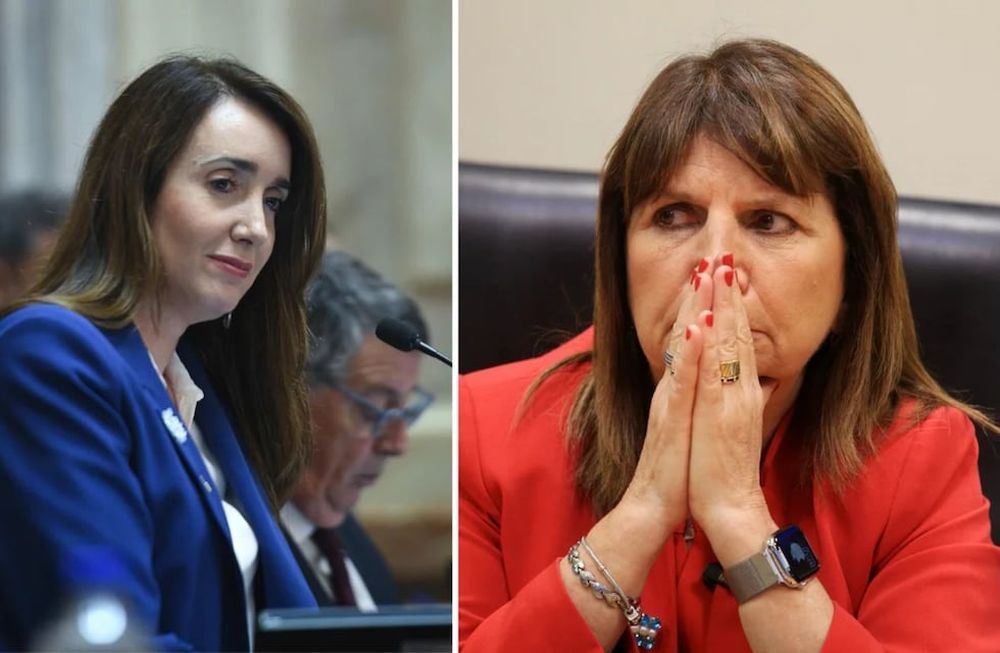 Continúan las tensiones dentro del gobierno libertario.
