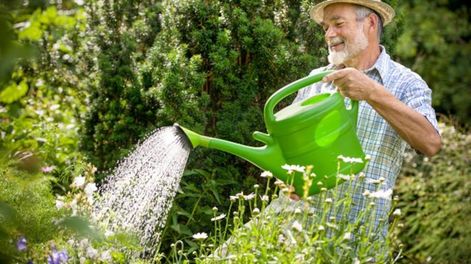 Los Andes | Un jardín es un refugio para huir del ajetreo del mundo. Sin embargo, poco sabemos sobre los verdaderos beneficios de convivir en armonía con las plantas.