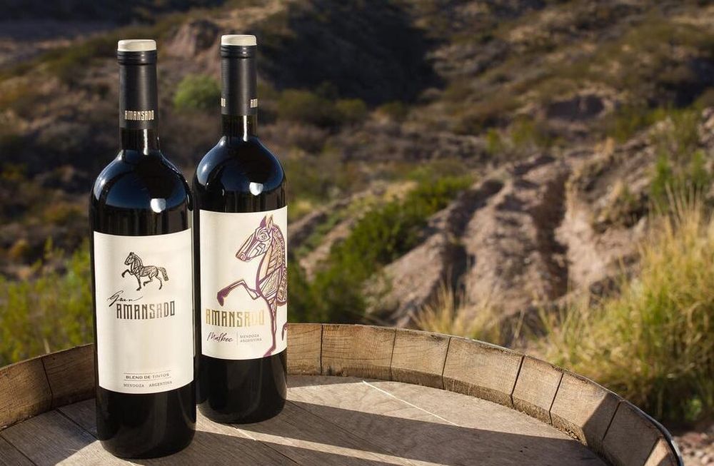 Conocé los vinos de Amansado Wines, elaborados con uvas cultivadas en las laderas de los cerros