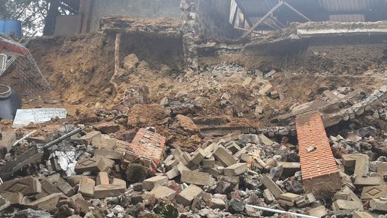 29 perros fueron rescatados luego de que un deslizamiento de tierra destruyera el albergue donde vivían.