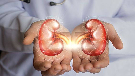 10 reglas de oro para la salud renal y otros consejos