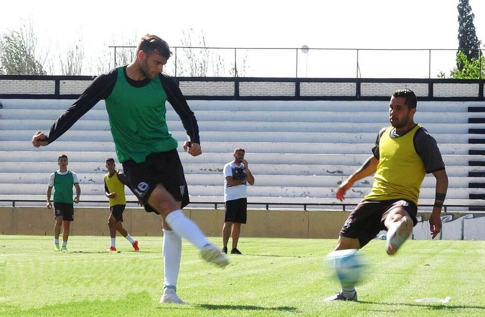 Duelo de lobos en el Parque 