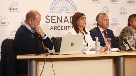 La senadora Mariana Juri y su compañero de banca, Alfredo Cornejo durante la presentación del proyecto de boleta única en el Senado de la Nación.