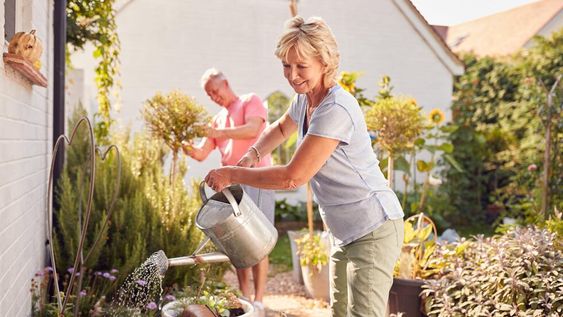 Al regresar de vacaciones, es probable que muchas de nuestras plantas luzcan secas o con exceso de agua, ya que es casi imposible que la vecina o el familiar que nos dio una mano cuidándolas conozca la frecuencia de riego de cada una de ellas.