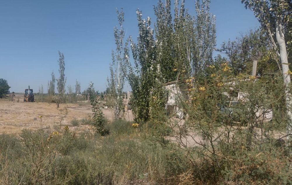 Expropiación en la obra de la doble vía a Rivadavia. (Enrique Pfaab - Los Andes)&nbsp;
