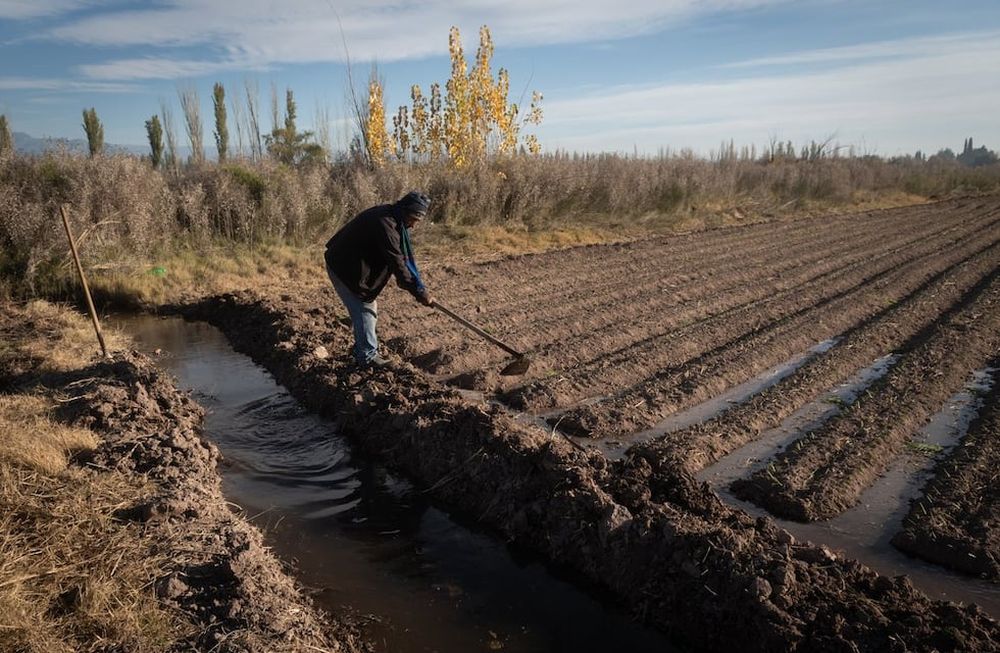 Será una semana calurosa en Mendoza. - Ignacio Blanco / Los Andes