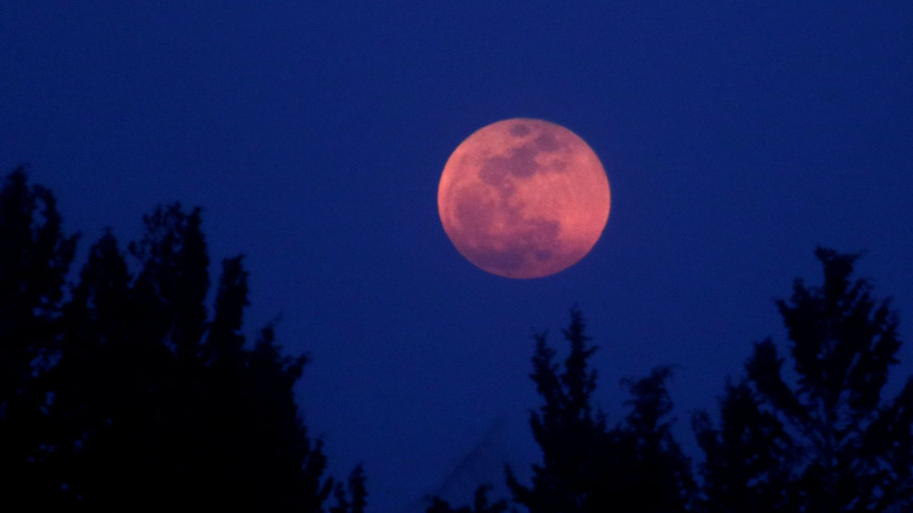 Luna de Sangre, un extraño fenómeno astronómico que será visible desde Argentina. 