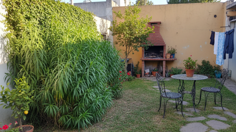 La citronela en tu jardín combina belleza, aroma y funcionalidad en jardinería y plantas.