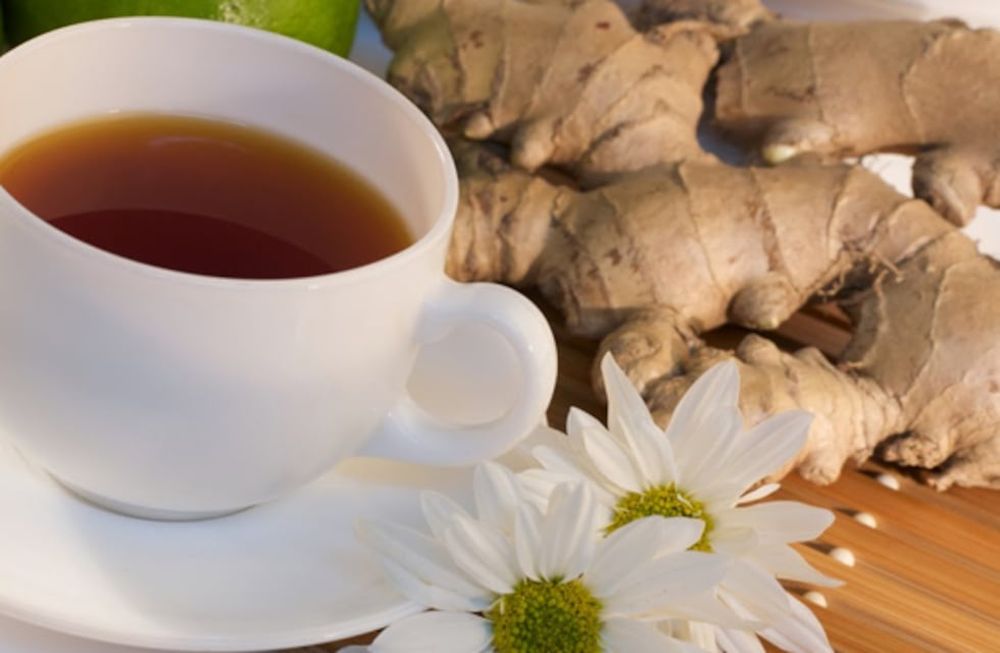 El té se produce infusionando las hojas tiernas y los brotes de las hojas de la planta del té, Camellia sinensis, en agua hervida. | Imagen ilustrativa / Web