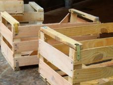 si tenes un cajon de verduras, no lo tires, posees un tesoro en casa: dos formas de aprovecharlo