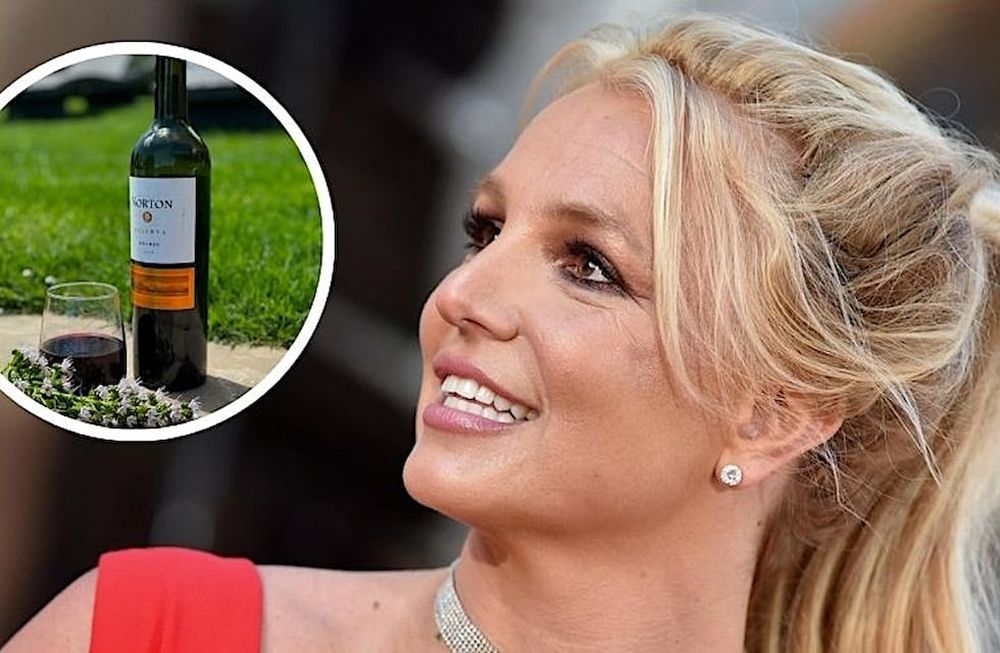 Britney Spears elogió a un Malbec mendocino en sus redes