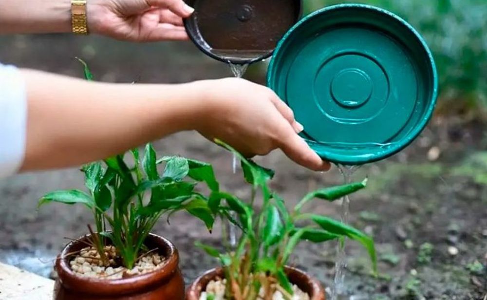 Recomendaciones para prevenir el dengue.