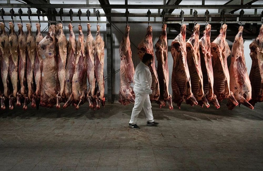 Sigue creciendo el precio de carne vacuna