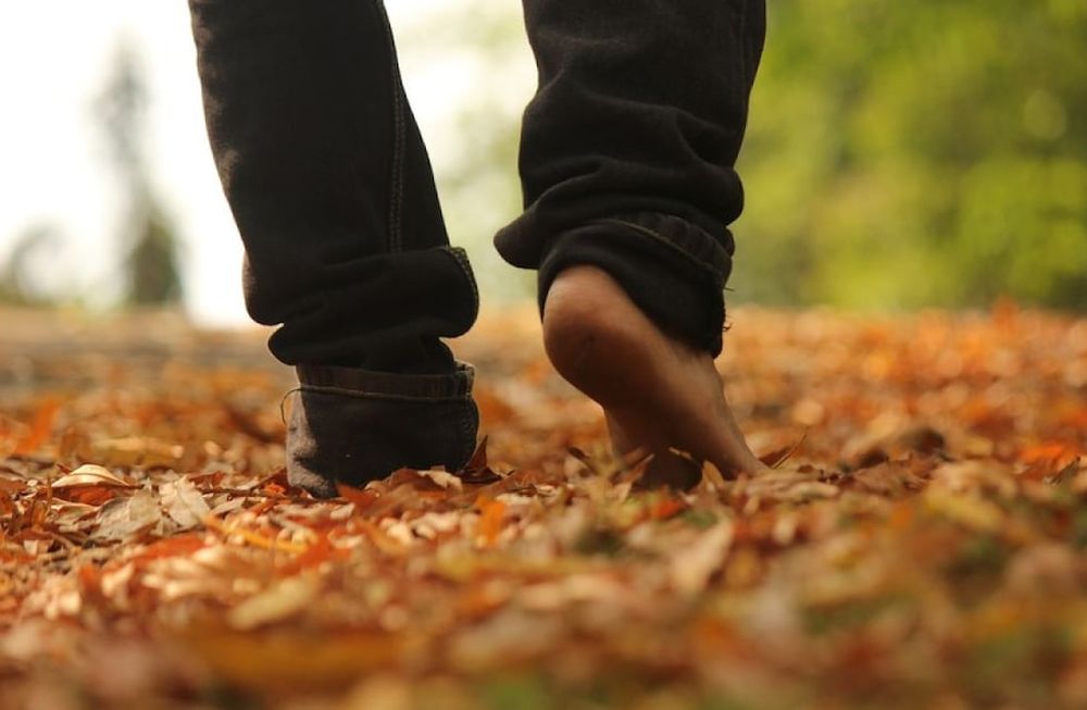 Horóscopo: los cinco signos que empezarán la semana con el pie derecho
