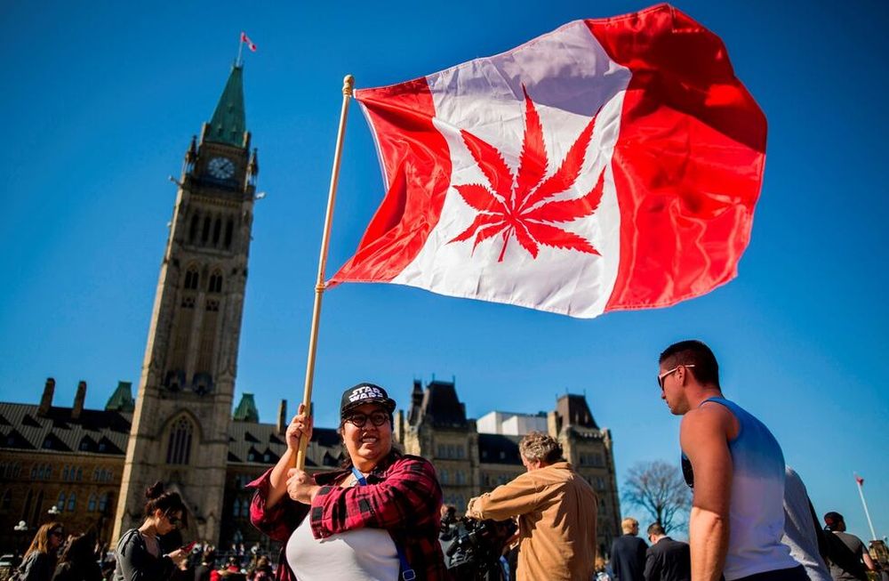 Canadá es el segundo país del mundo en legalizar el consumo y el cultivo de marihuana