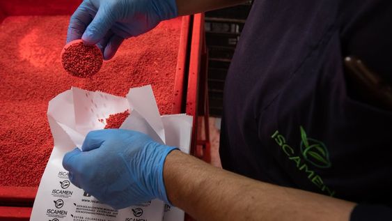 La Biplanta de Iscamen produce más de 400 millones de pupas estériles por semana, esta producción abastece a Mendoza, a la patagonia Argentina y se exporta a Chile y Bolivia.  Foto: Ignacio Blanco / Los Andes