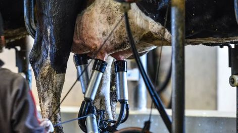 Los Andes | QOO7WIJDWND4RGJTHEQ453YJUU.png?quality=75&smart=true&auth=fefe49ea45f5f22b6dc3434912e6499288abf732524a67810570cae370ba1891&width=980&height=640