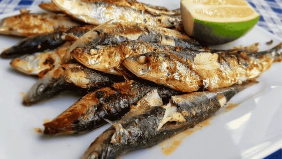 El salmón continúa siendo una referencia popular en la alimentación y el cuidado, pero existen opciones económicas.