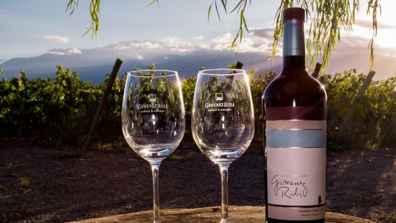 “La uva Malbec es sinónimo de calidad y trabajo”