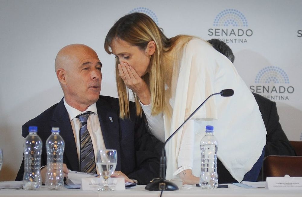 La Ley de Bases durante su tratamiento en la Comisión. En la foto, los senadores Bartolome Abdala y Ananabel Fernández Sagasti (Federico Lopez Claro)