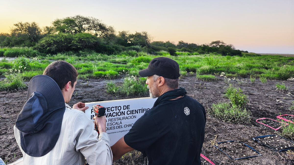 Cuál es la tecnología que está convirtiendo al cielo en un aliado del ambiente