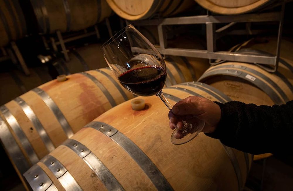 El representante del Valle de Uco describe que los productores vitivinícolas de la zona están trabajando a pérdida y que las bodegas abusan de su poder dominante. / Foto: Ignacio Blanco