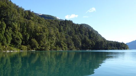 Los Andes | El valor oculto de los bosques andino patagónicos