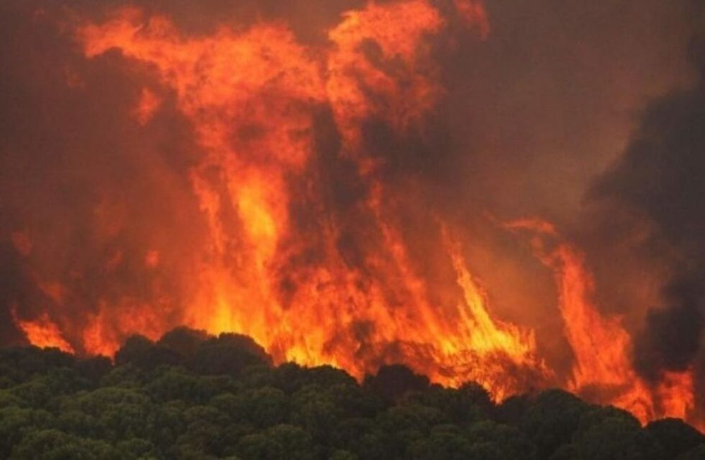 Cientos de evacuados por incendio en suroeste de España. Gentileza / La Calle