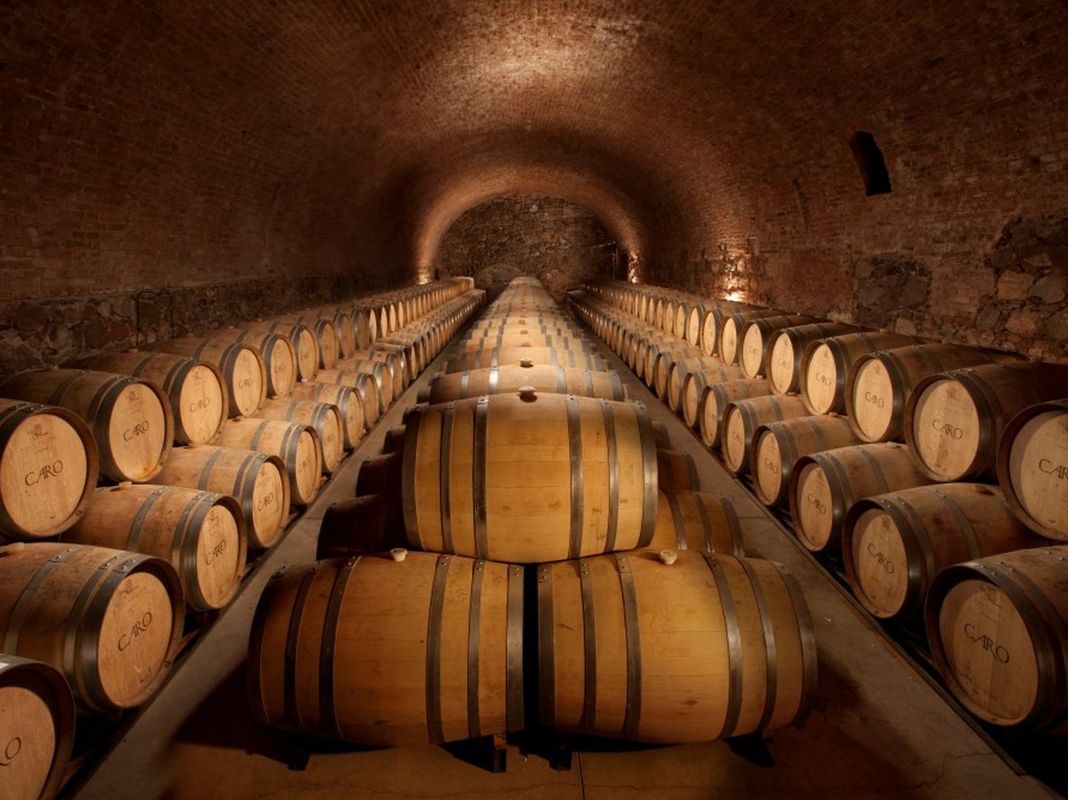 Bodega de Mendoza lanza concurso de fotografía inspirado en Máximo Arias