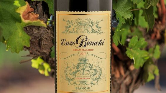 Enzo Bianchi Gran Malbec 2017, destacado por Decanter entre los mejores vinos del país