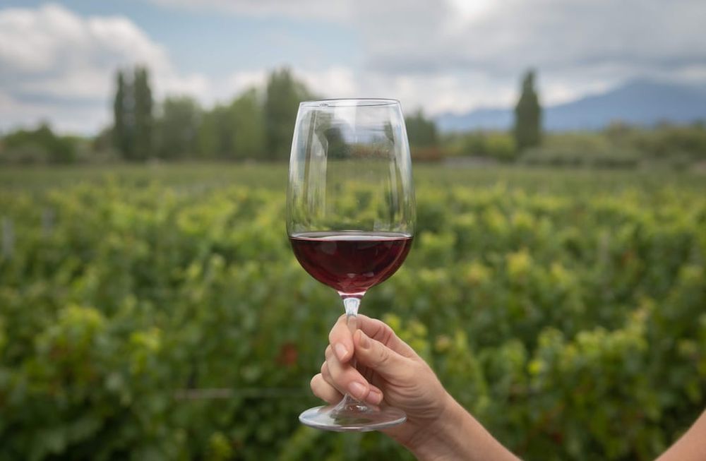 Mendoza, 6 de febrero de 2020 TurismoLa Mendoza Top. Entre Cielos Luxury Wine Hotel  degustando vino copa vino vinedos turismo Foto: Ignacio Blanco / Los Andes
