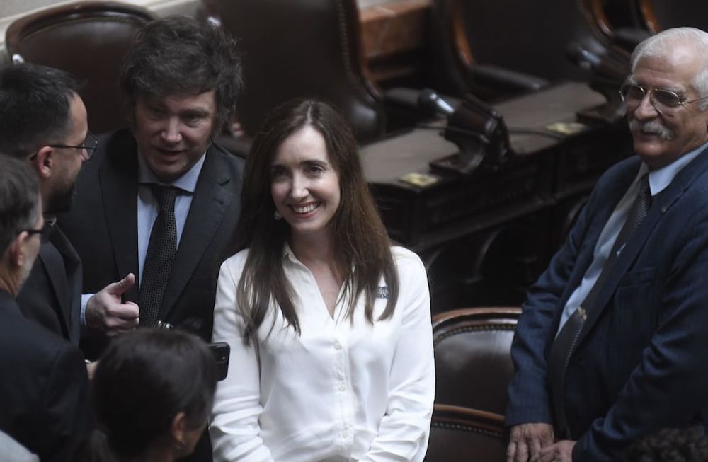 La Asamblea Legislativa proclamó como presidente y vice a Milei y Villarruel - Foto Federico López Claro