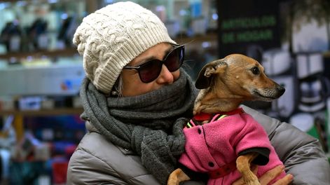 Hasta -10°C: estas son las localidades más frías de Mendoza  - Foto: Orlando Pelichotti / Los Andes