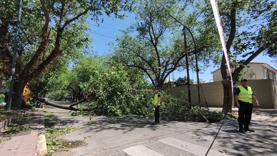 Zonda: novedades, cortes de tránsito y suspensiones