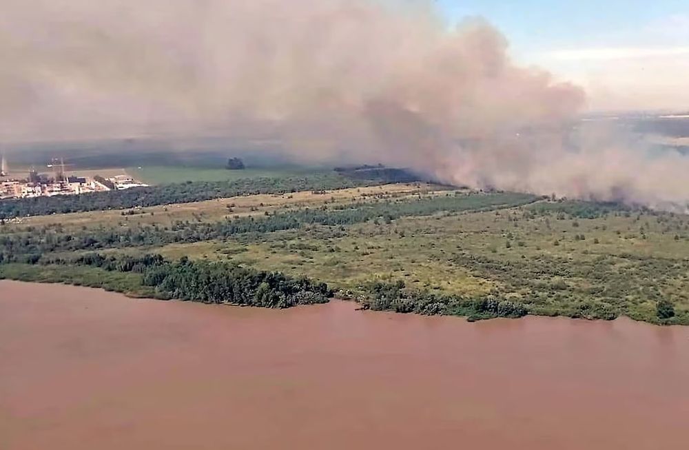 Un incendio de pastizales cerca de la planta nuclear encendió las alarmas. Defensa Civil.