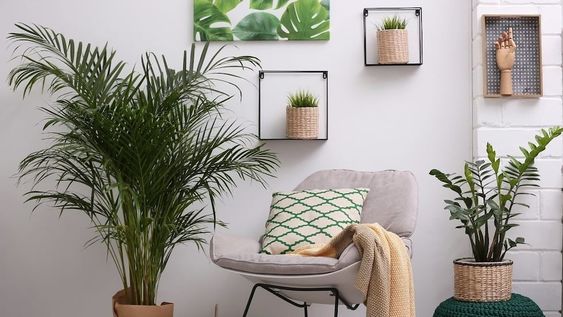 Las plantas que debes tener en tu casa según el mes en que naciste