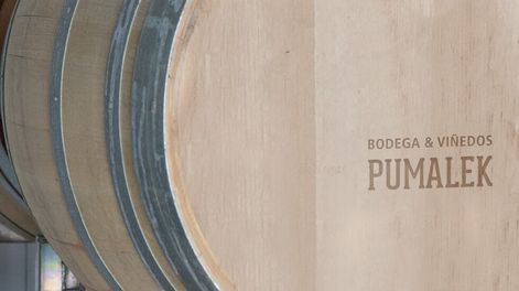 Los espumosos de Pumalek, en la feria de vinos de Guarda14