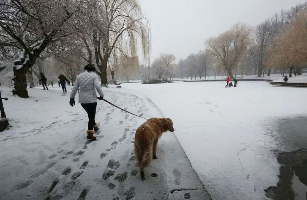Llega a EEUU la tormenta perfecta”