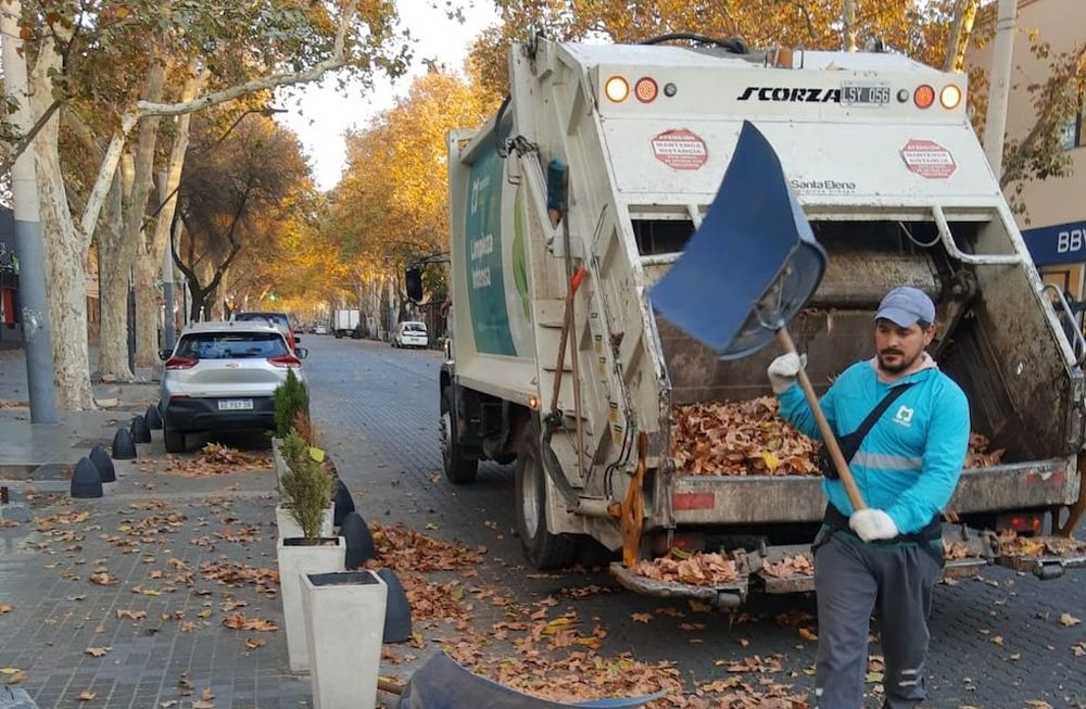 Atención: estos son los operativos y suspensiones que lleva adelante la Ciudad luego del viento Zonda