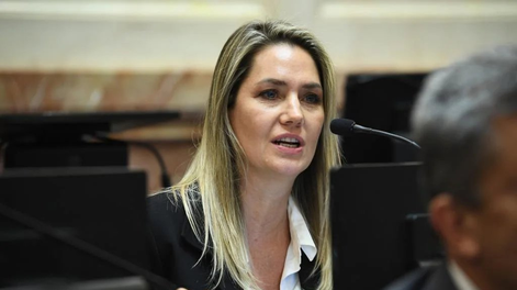 Fuerte cruce en el Senado entre Carolina Losada y Juliana Di Tullio