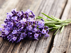 Descubrí por qué el espacio que ocupa la lavanda en tu casa es tan importante.