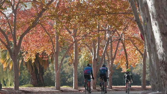 Parque General San Martín - Archivo / Los Andes