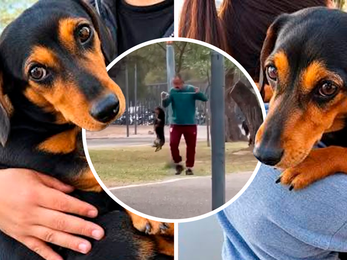 Investigan por presunto maltrato animal a un hombre que fue grabado agrediendo a su perro en Catamarca.