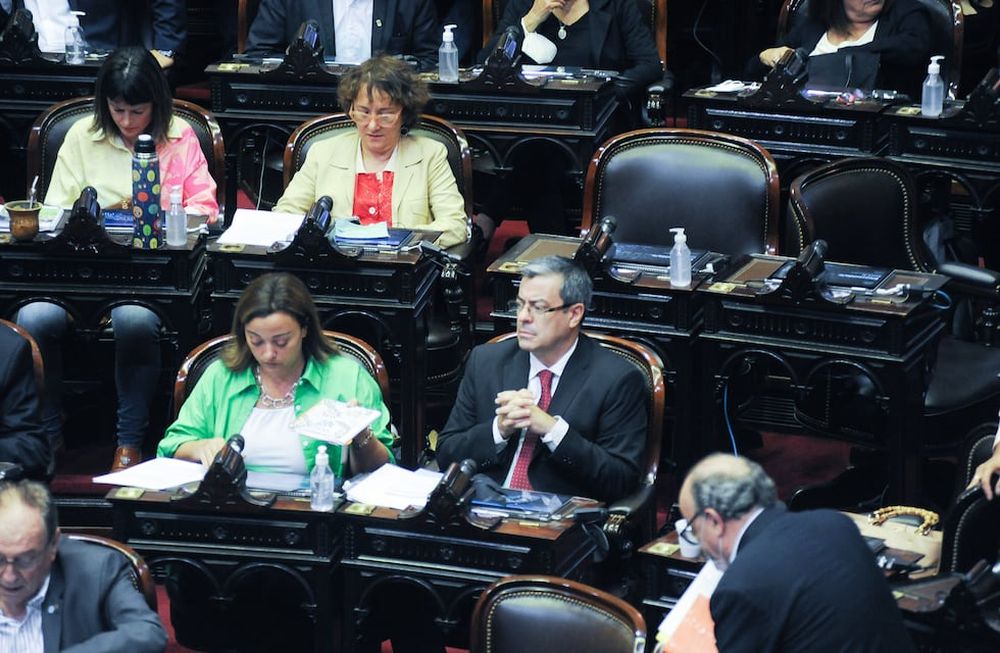 Sesión en el congreso de la nación para tratar la deuda del FMIGerman MartinezFoto Federico Lopez Claro