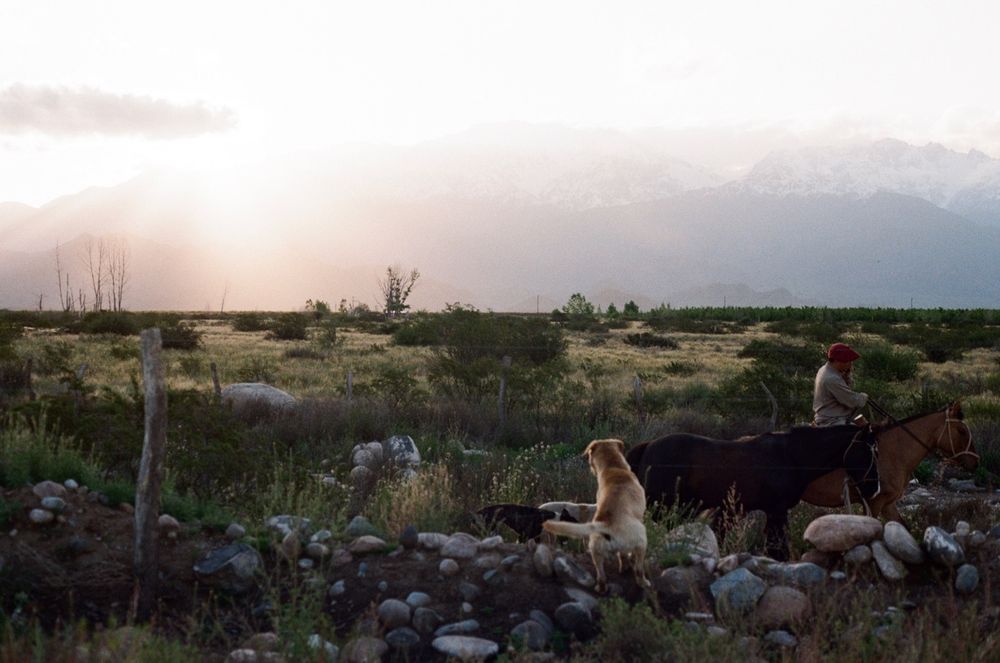 Turismo rural y atardeceres cordilleranos definen la experiencia de Paraje Altamira, donde la vida campestre marca el ritmo del paisaje.  