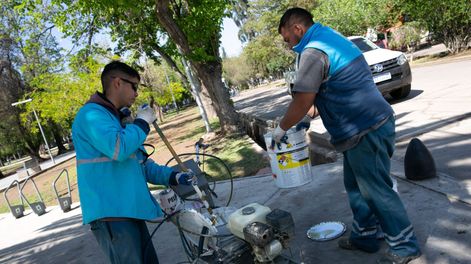 Continúan las tareas de arbolado y bacheo en la Ciudad